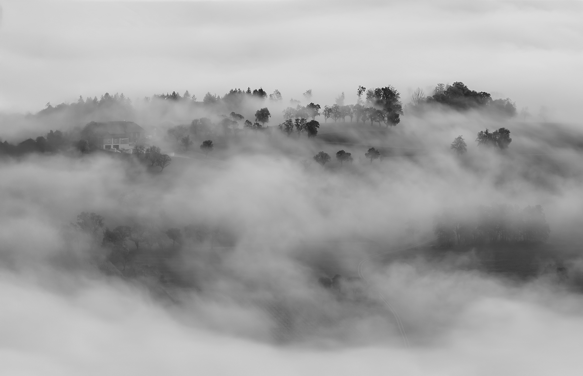 26 P Nebelland 01 - Helmut WIlflingseder